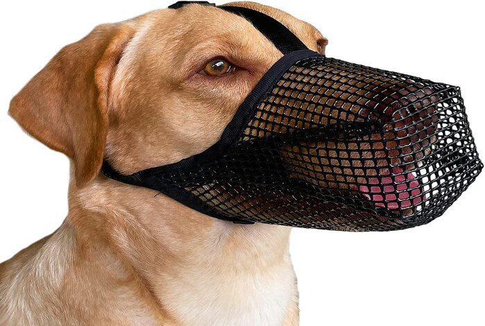 Mayerzon Dog Mouth Cover