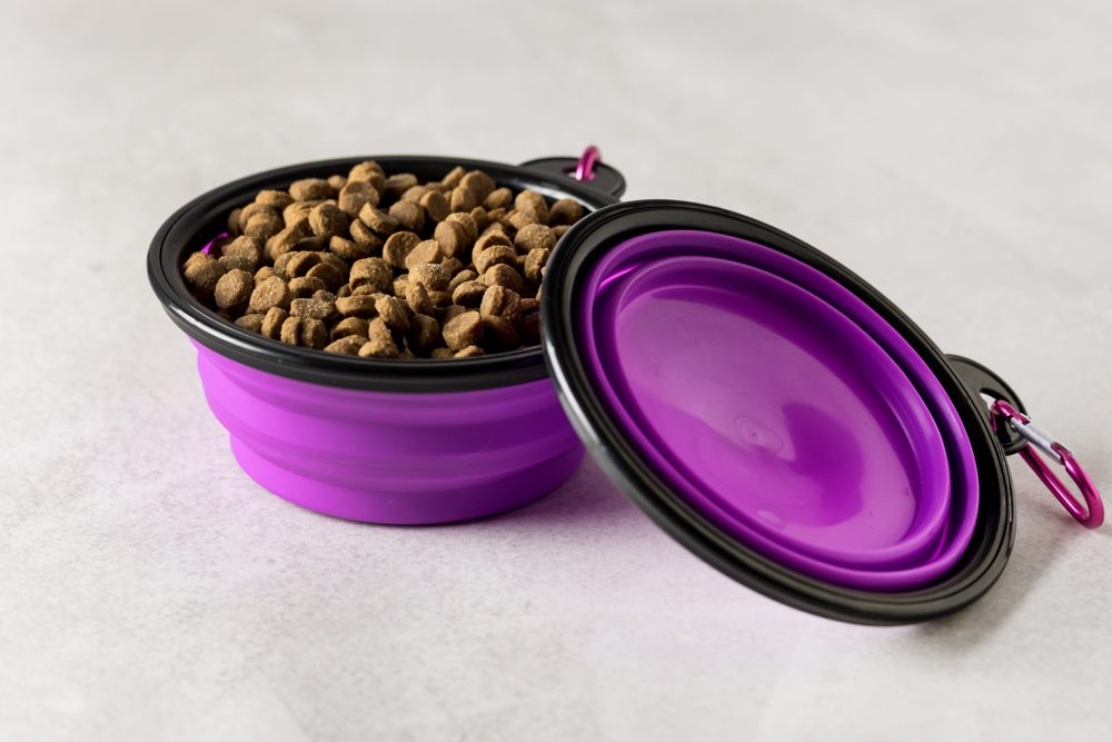 Best Dog Bowls With Lids