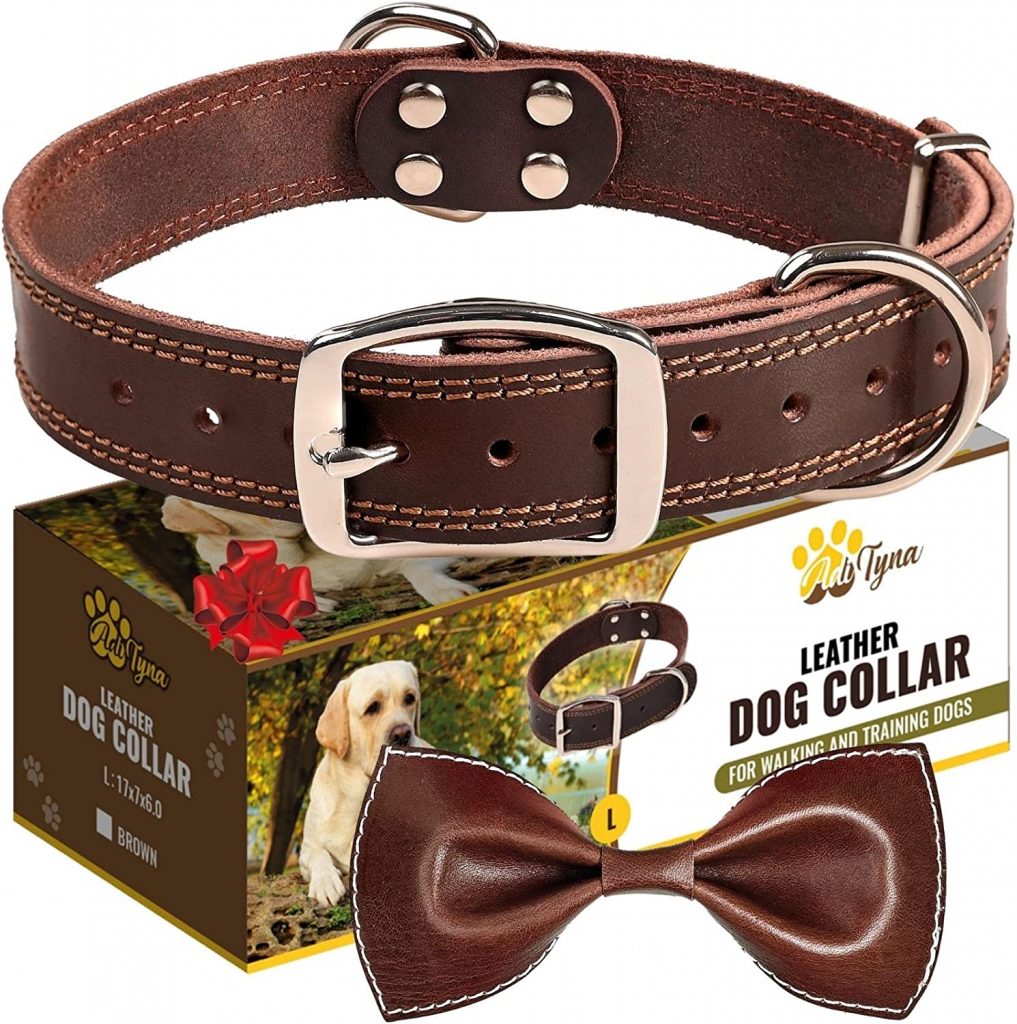 Heavy Duty Leather Dog Collar