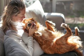 dog biting and mouthing woman's hands