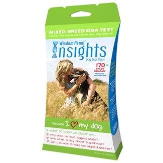 Insights