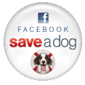 Help shelter cats and kittens through Save a Cat on Facebook