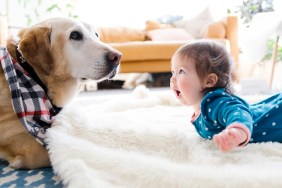 Baby girl and dog lying on rug