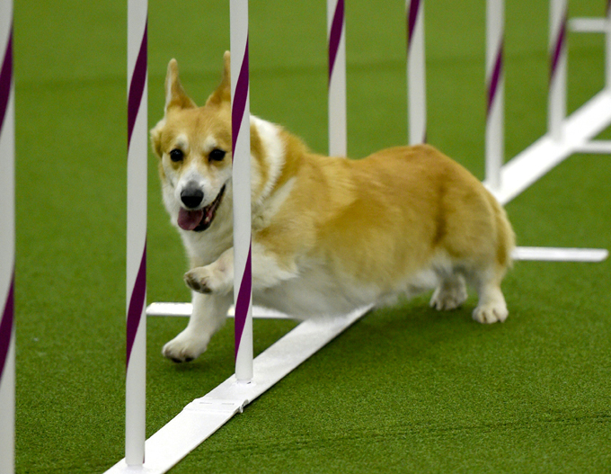 (Photo credit should read TIMOTHY A. CLARY/AFP/Getty Images)