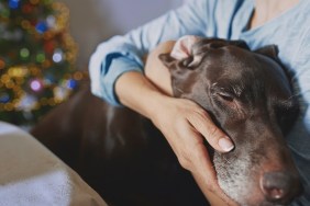 Woman hugging old dog at Christma time