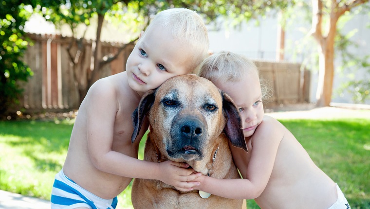 Portrait of old dog and toddler twins