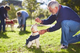 Guide Dogs