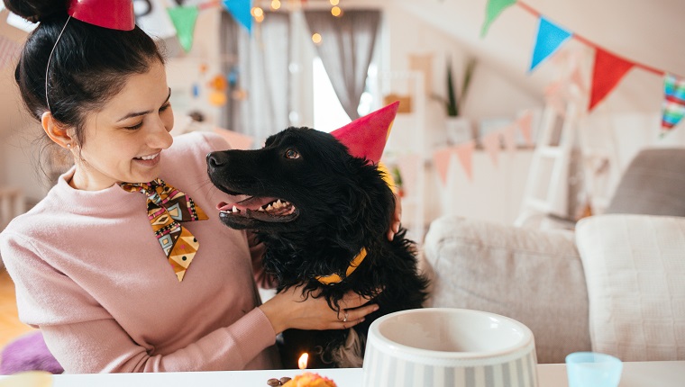 Young woman and her dog celebrating birthdays together