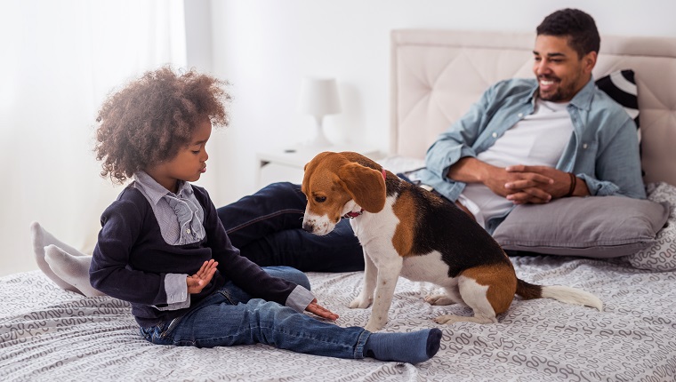 Photo of an african american family spending time together with a dog in the bedroom.