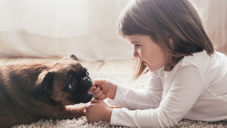 Little girl lying on the carpet with her dog at home