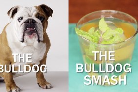 a bulldog sits next to the bulldog smash cocktail