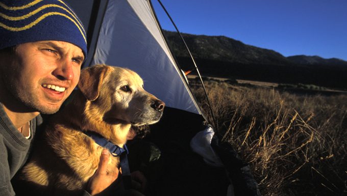 man and dog in tent