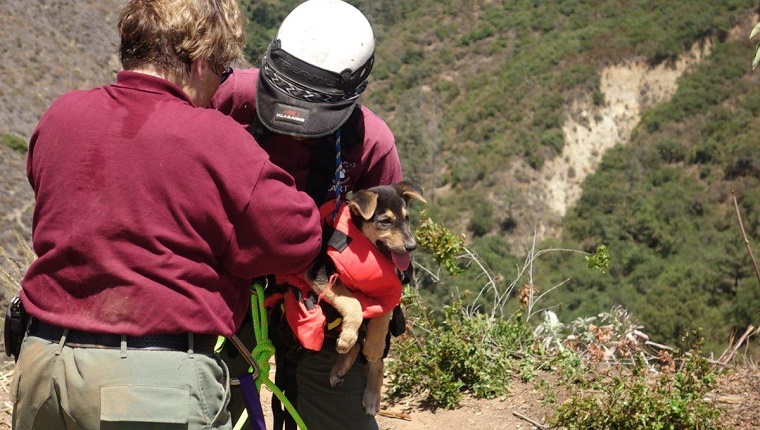 A worker assists Gove at the top of the ravine