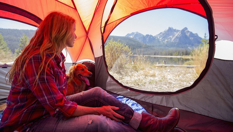 Caucasian woman and dog in camping tent