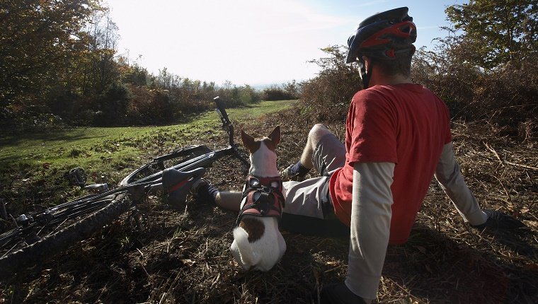 Rear view of young man and dog relaxing beside mountain bike in countryside