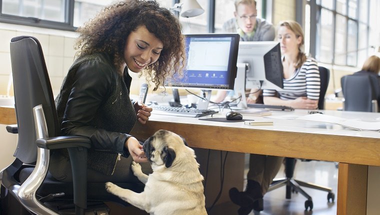 Young woman petting dog at office desk