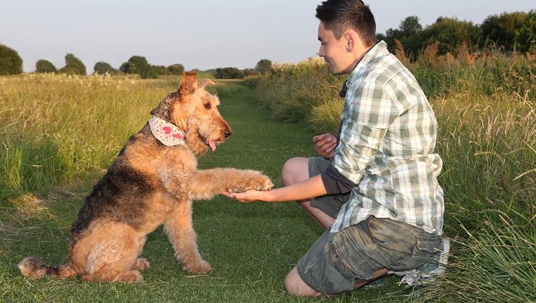 Male owner performing tricks with dog outside.