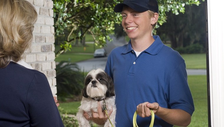 "Dog walker, sitter, groomer."