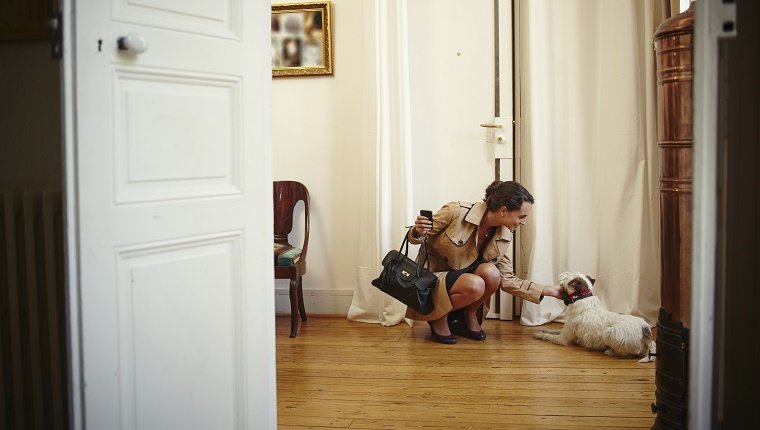 Young woman petting dog on return to apartment