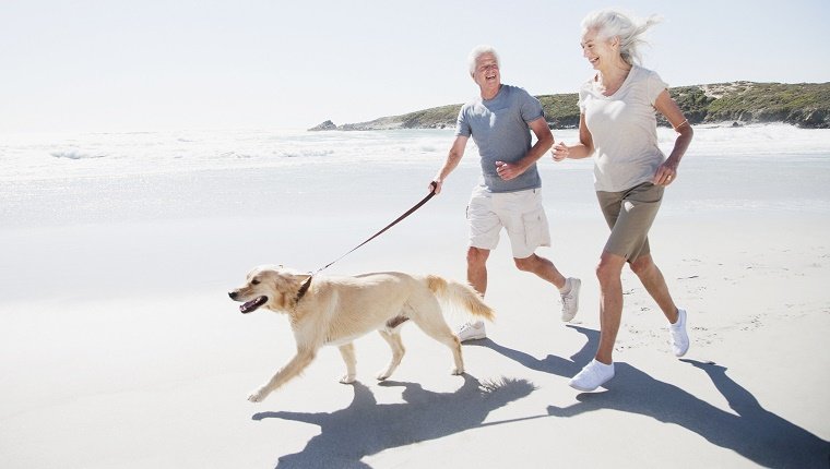 Senior couple running on beach with dog