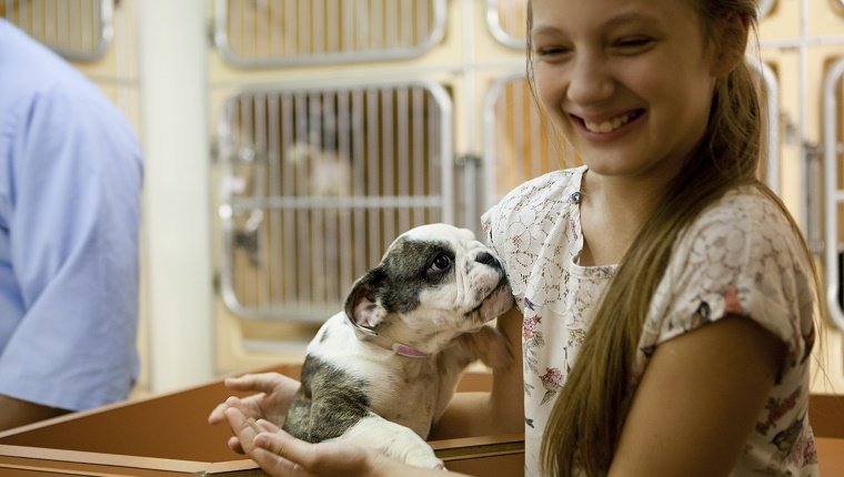 At animal adoption centre cute girl holding a puppy ready to adopt