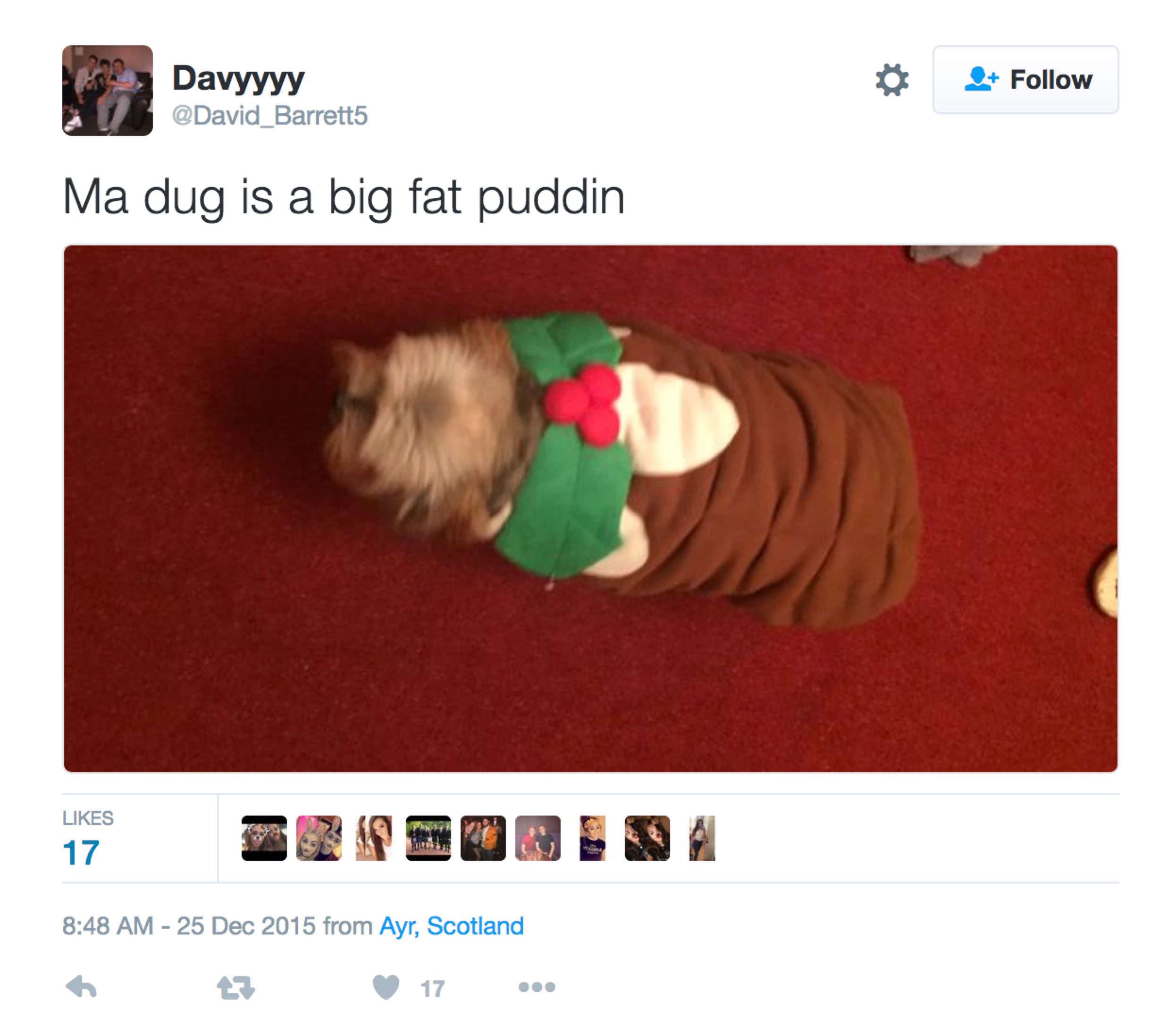 dog-eats-christmas-dinner-2