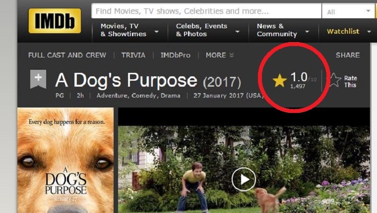 a-dogs-purpose-7