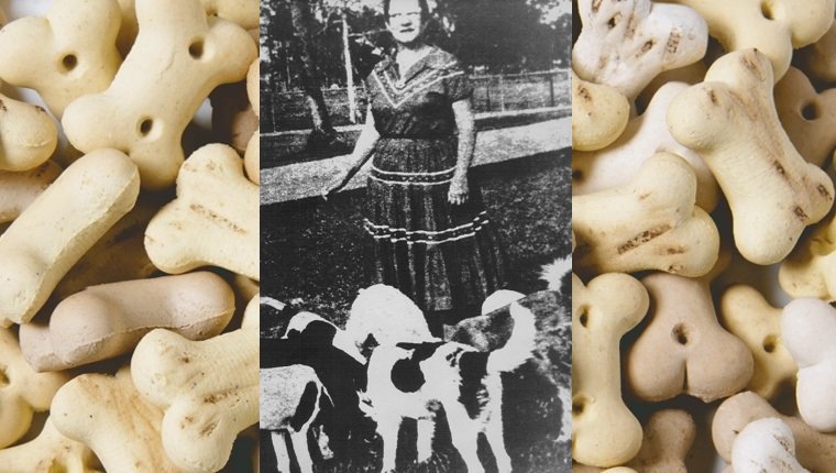 MAR 8 1984, MAR 16 1984, MAR 25 1984; Special to The Denver Post, Attn. Gail Sims. This is a 1974 file photo showing Eleanor Ritchey of Deerfield Beach, Florida with some of her 150 dogs.; Credit: AP Laserphoto (Photo By The Denver Post via Getty Images)