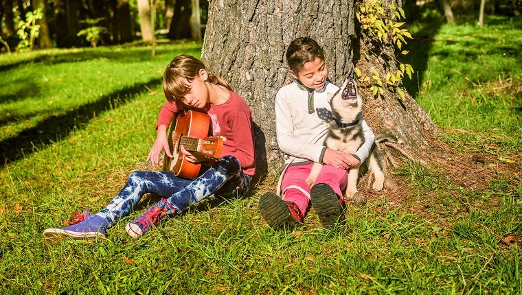 Little girl playing guitar in the park with husky puppy singing