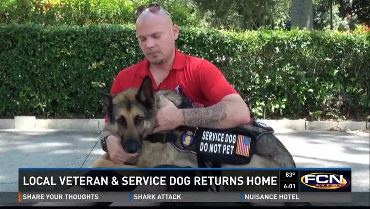 service-dog-denied-boarding-plane