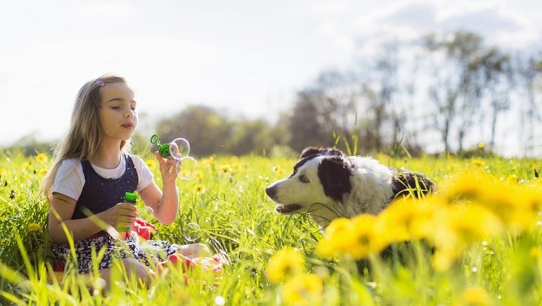 Girl blowing bubbles with dog in field