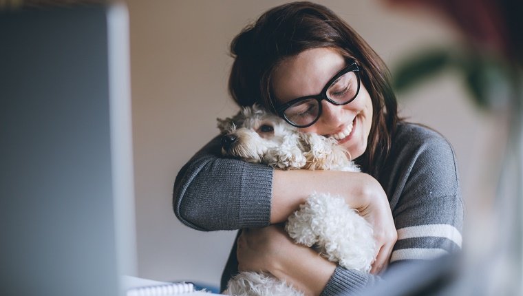 Young woman playing with her dog while sitting at desk in front of computer and working online.