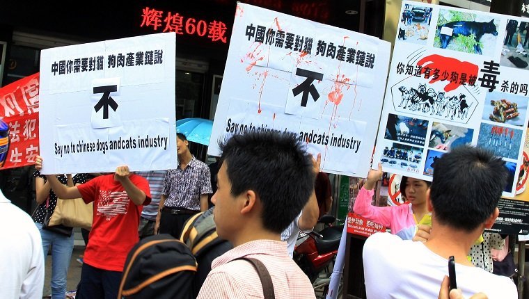 Animal rights activists protest against eating dog meat outside dog meat restaurants in Yulin, southwest China's Guangxi province on June 21, 2013. Yulin's annual "dog meat festival" starts on June 21, the Summer Solstice, amid intense criticism from animal rights groups, local media reported. CHINA OUT AFP PHOTO (Photo credit should read STR/AFP/Getty Images)