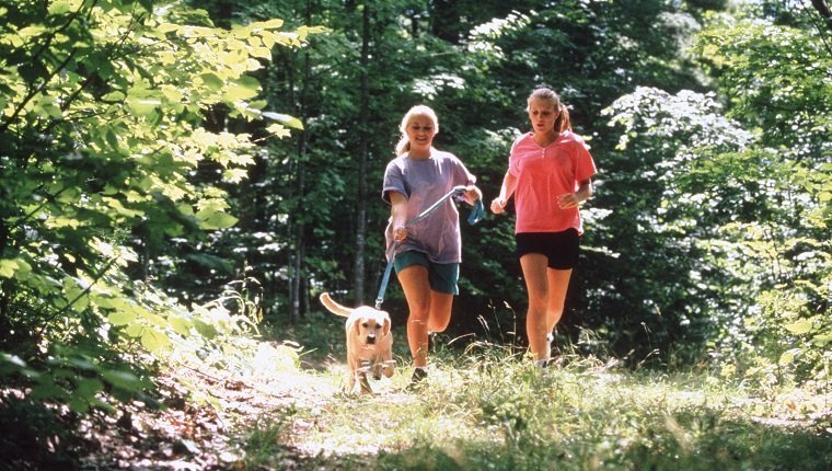 Jogging with dog