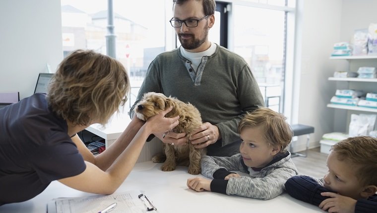 Veterinarian greeting family with dog at reception