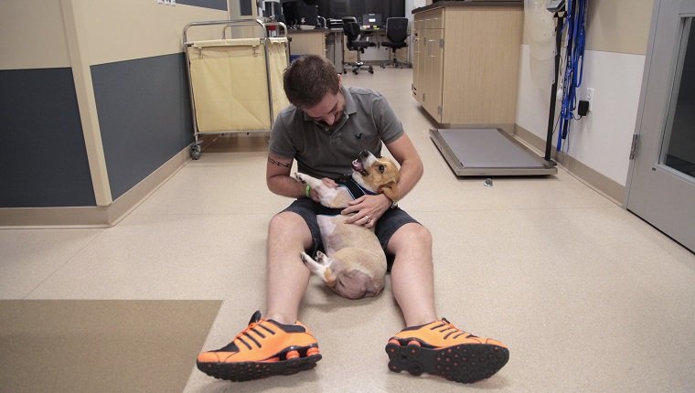 Richard Finn greets his dog Jason who is ready to go home following two weeks at VCA West Los Angeles Animal Hospital for a bone marrow transplant. Jason was diagnosed with lymphoma and had undergone chemotherapy to put the cancer into remission. The expensive bone marrow transplant was the best hope for permanently eliminating the cancer cells although the success rate is 40-50 percent. (Photo by Myung J. Chun/Los Angeles Times via Getty Images)