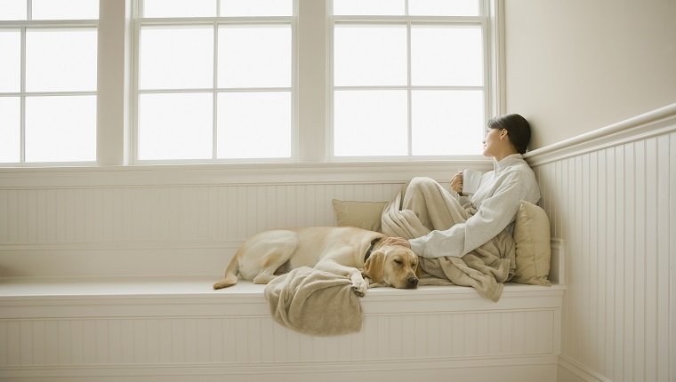 Hispanic woman petting dog