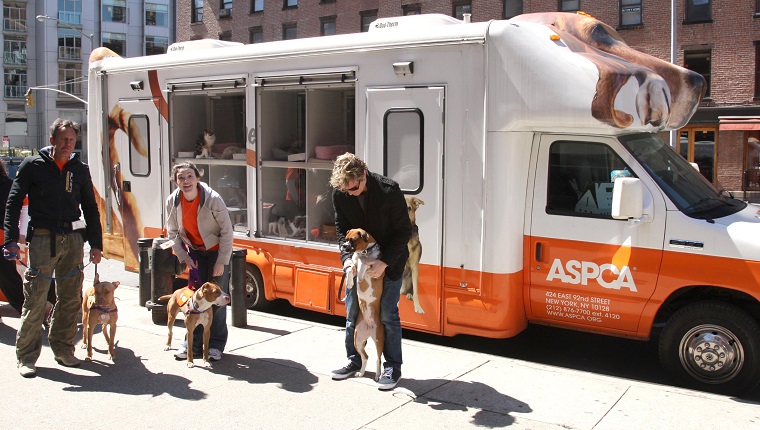 NEW YORK CITY, NY - APRIL 5: ASPCA Staff attends ADAM and ASPCA Host, ADAM LOVES DOGS at Adam on April 5, 2008 in New York City. (Photo by JIMI CELESTE/Patrick McMullan via Getty Images)