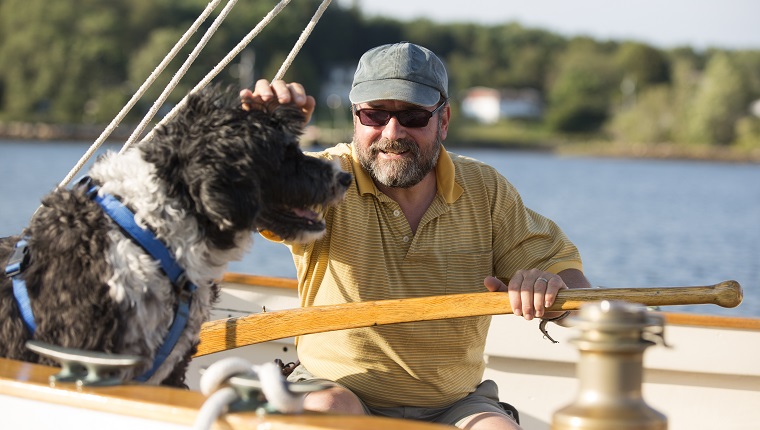 Man and his dog on a sailboat