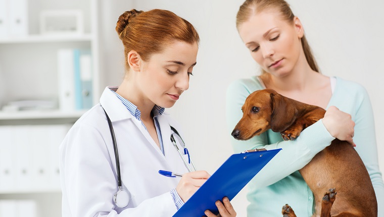 medicine, pet care and people concept - woman holding dachshund dog and veterinarian doctor with clipboard taking notes at vet clinic