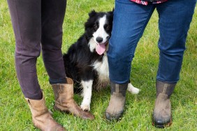 Penhurst village, sheep dog with two female sheep famers in boots.