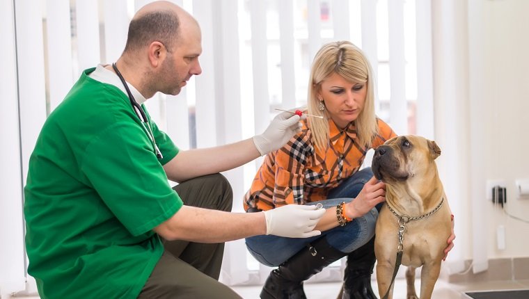 Doctor Testing Biological Specimen