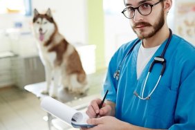 Healthcare worker making notes and looking at camera with dog on background