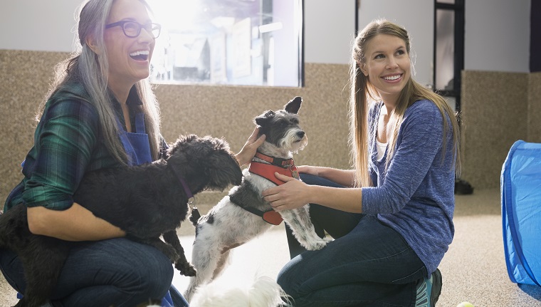 Dog daycare owners playing with dogs