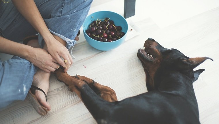 Cropped woman sitting on floor with her dog.