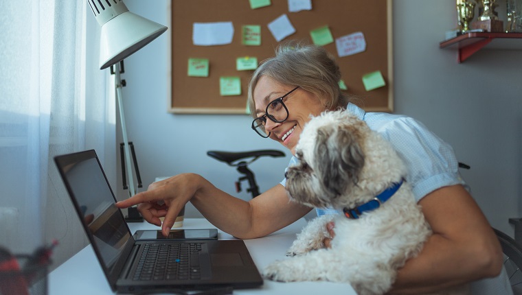 Close up of Caucasian woman and her dog working at home