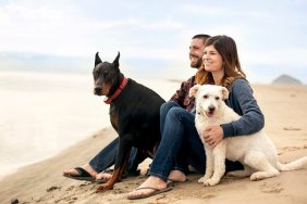 Attractive couple on the beach with their dogs