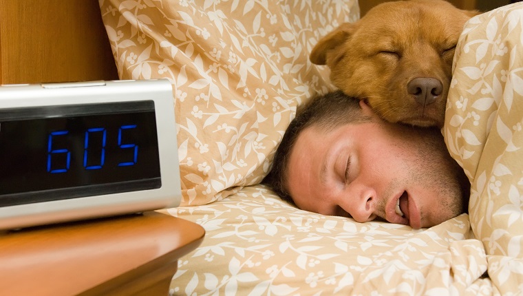 Man and his dog comfortably sleeping in.