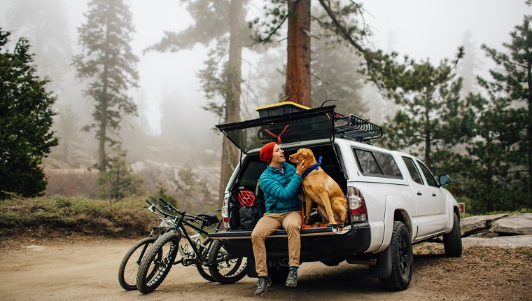 Man and dog sitting on tailgate of off road vehicle, Sequoia National Park, California, USA