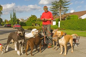 Man on rollerblades walking dogs